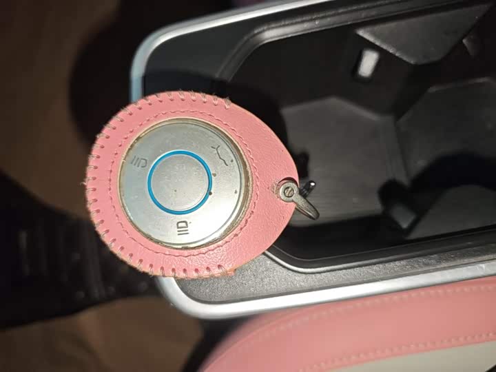 Hozon V 2022 2022款 潮 400 Lite 粉色定制款