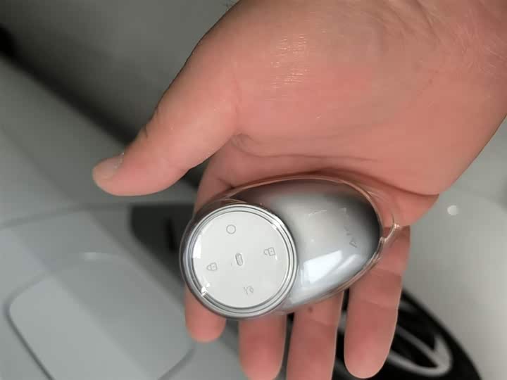 GAC Aion Y 2025 2025款 Plus 510 智豪版
