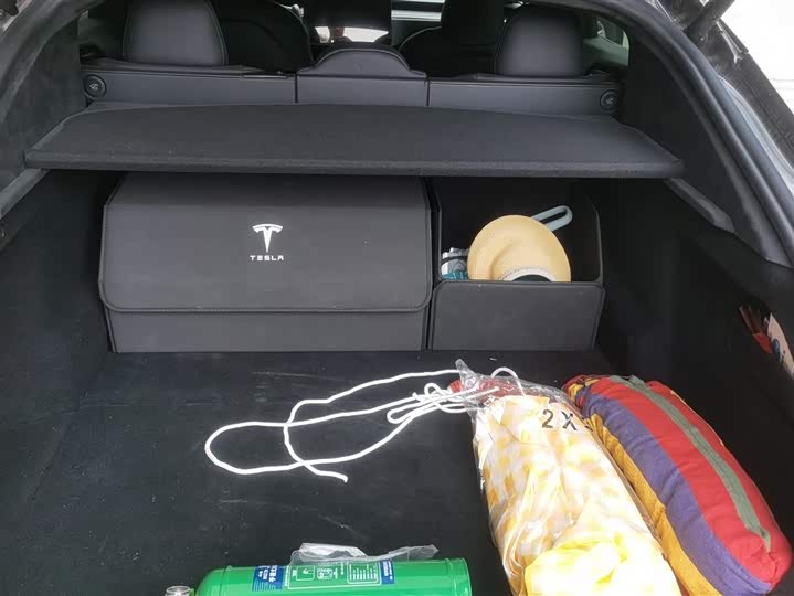 Tesla Model S 2023 2023款 双电机全轮驱动版