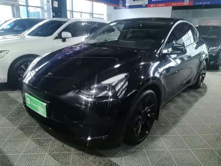 Tesla Model Y 2022 2022款 后轮驱动版