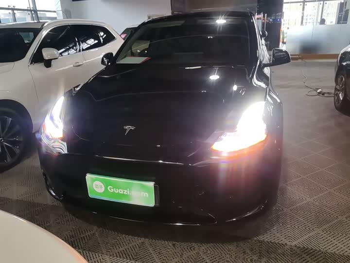 Tesla Model Y 2022 2022款 后轮驱动版