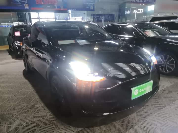 Tesla Model Y 2022 2022款 后轮驱动版