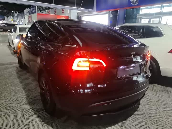 Tesla Model Y 2022 2022款 后轮驱动版