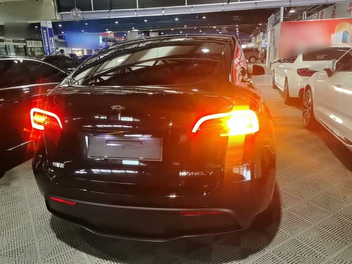 Tesla Model Y 2022 2022款 后轮驱动版
