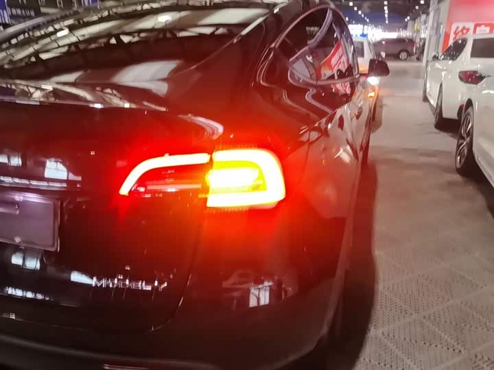 Tesla Model Y 2022 2022款 后轮驱动版