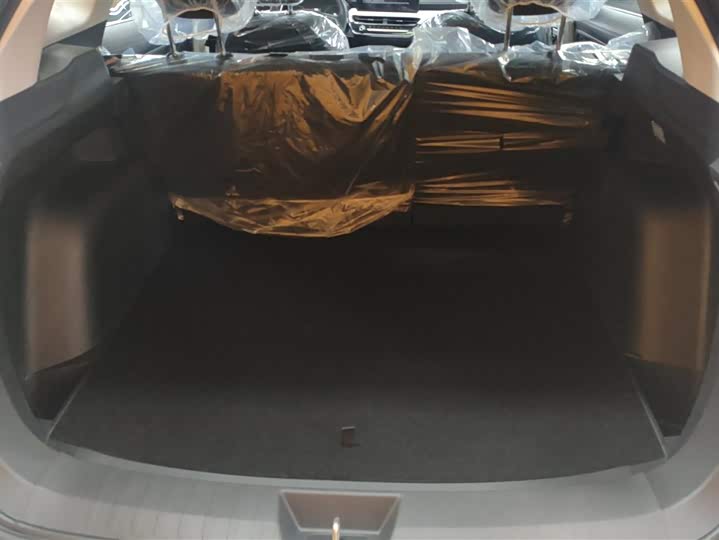 Haval H6 2025 2025款 1.5T 国潮都市版