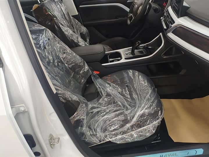 Haval H6 2025 2025款 1.5T 国潮都市版