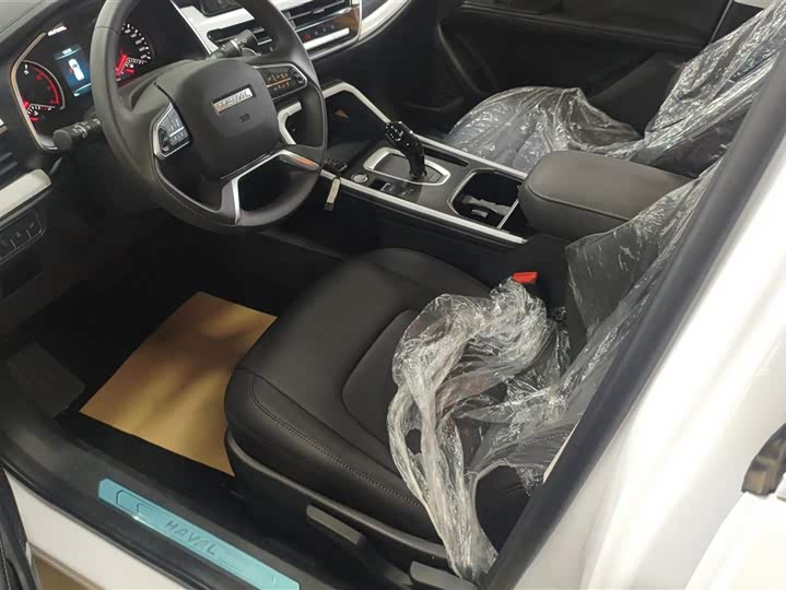 Haval H6 2025 2025款 1.5T 国潮都市版