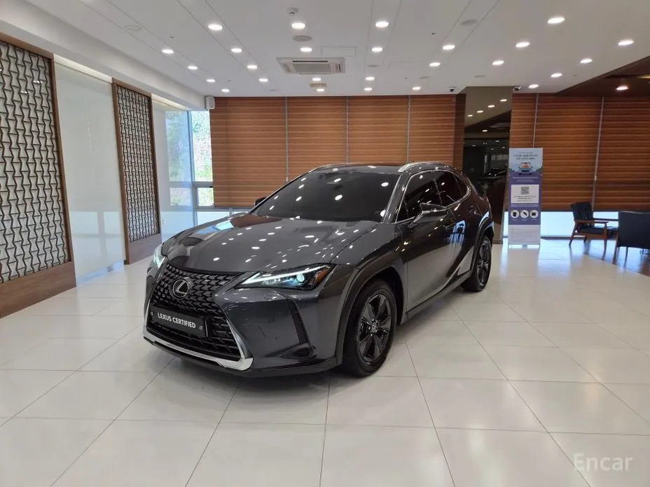 Lexus UX 2024 2.0 2WD