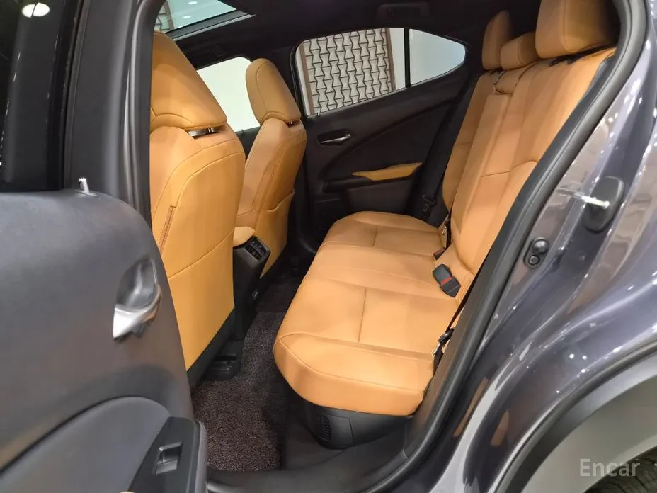 Lexus UX 2024 2.0 2WD