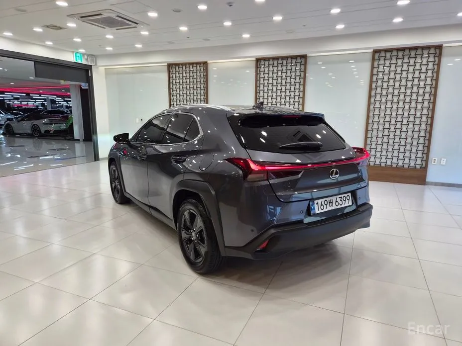 Lexus UX 2024 2.0 2WD