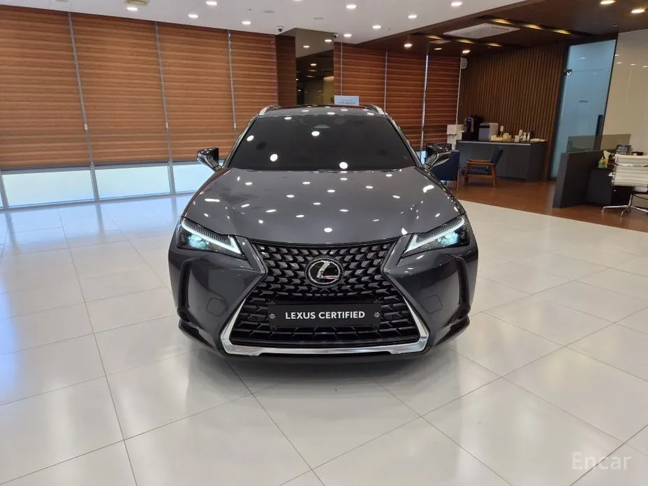 Lexus UX 2024 2.0 2WD