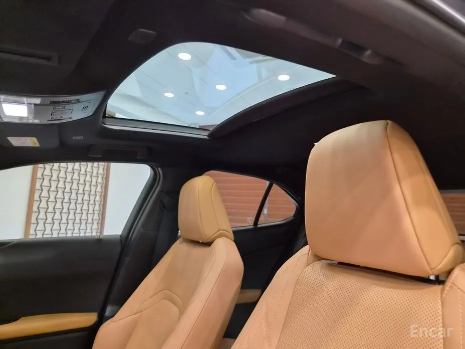 Lexus UX 2024 2.0 2WD