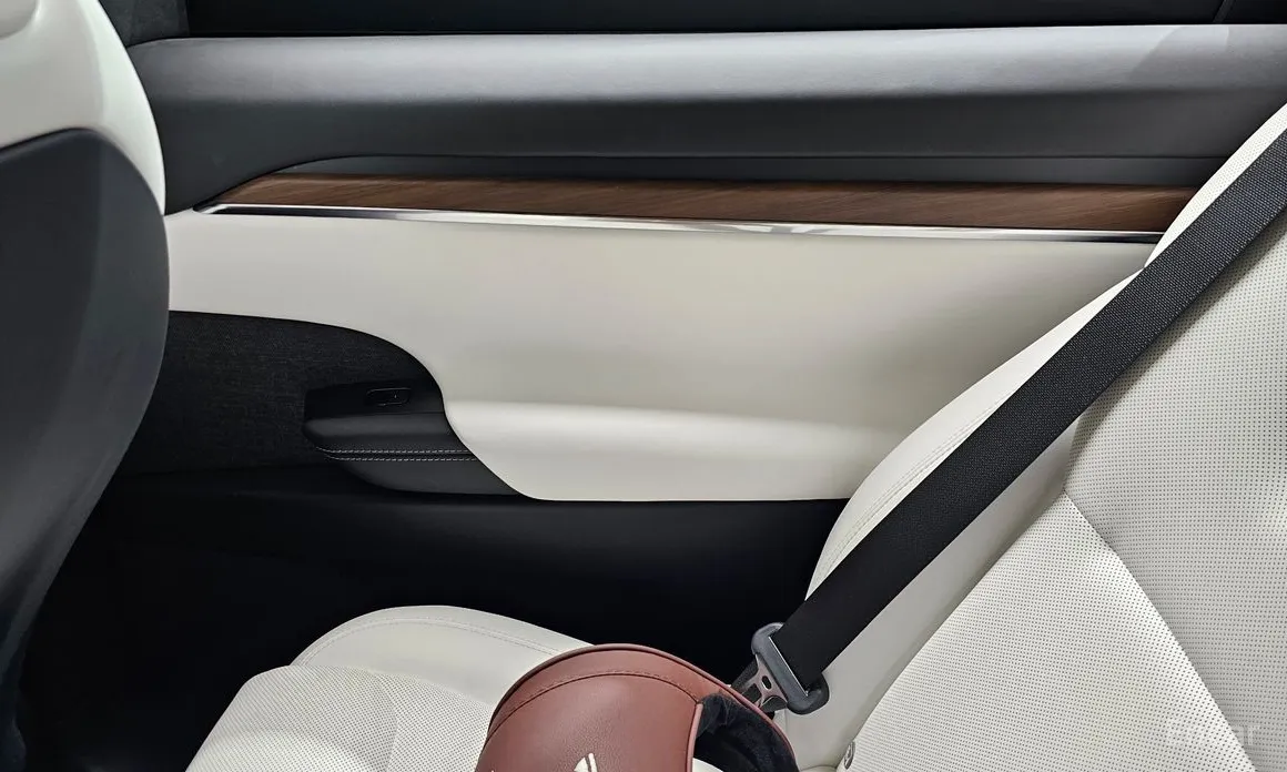 Фото 25 - Tesla Model X