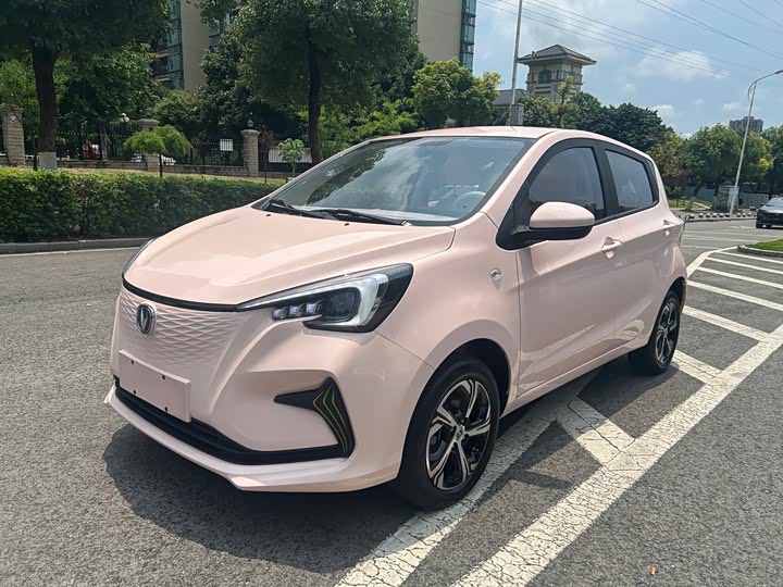 2023 Changan BenBen E-Star