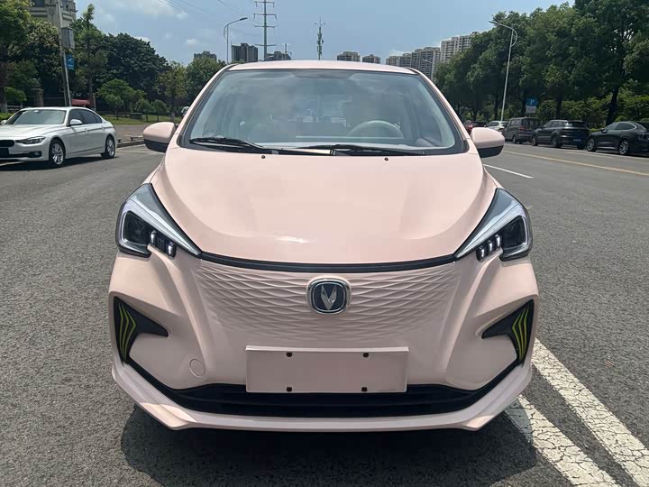 2023 Changan BenBen E-Star