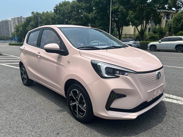 2023 Changan BenBen E-Star
