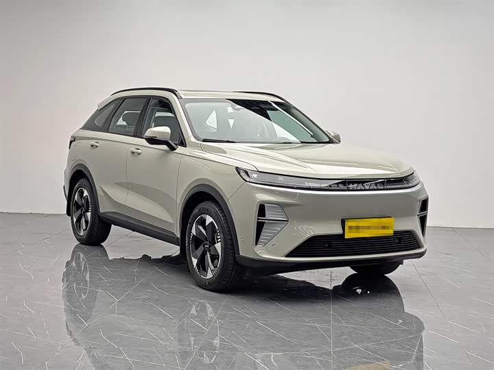 Haval H7 Hybrid 2025 2025款 Hi4 165 Ultra 智驾版