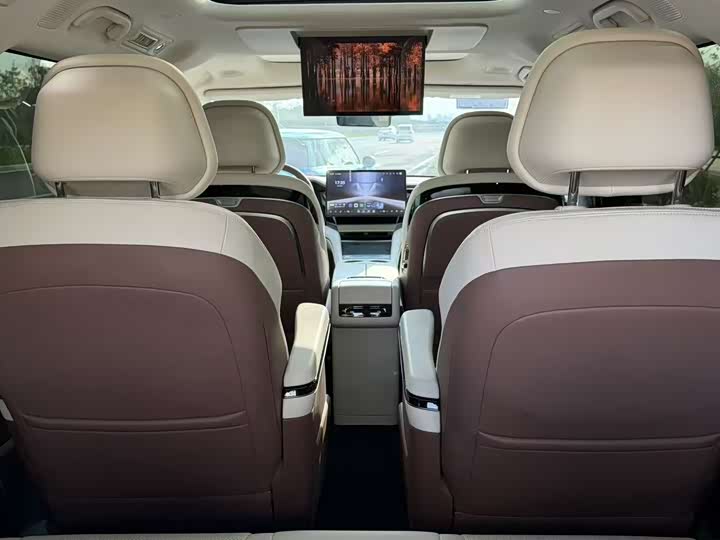 BYD Xia 2025 2025款 DM-i 1.5T 180km 卓越型