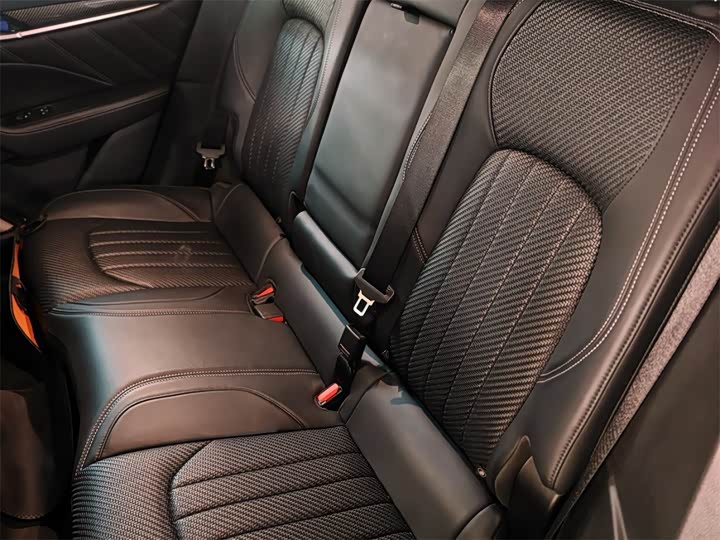 Maserati Levante 2021 2021款 3.8T Trofeo