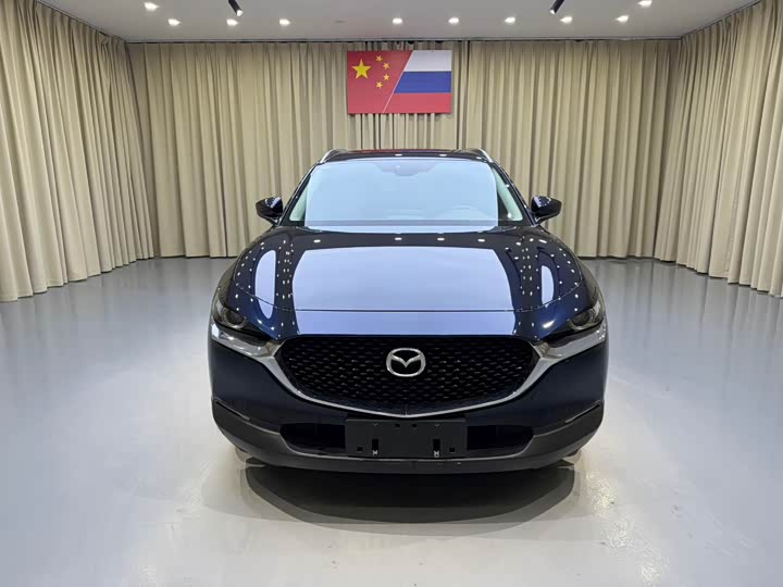 Mazda CX-30 2022 2022款 2.0L 自动嘉悦型