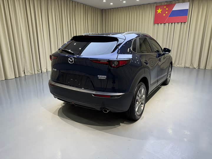 Mazda CX-30 2022 2022款 2.0L 自动嘉悦型