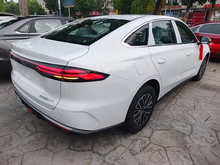 Geely Galaxy Starshine 6 2026 2026款 125km自在版