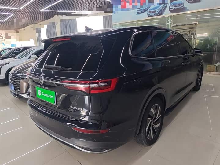 Фото 7 - Volkswagen Viloran