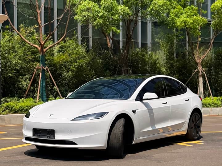 Tesla Model 3 2025 2025款 后轮驱动版