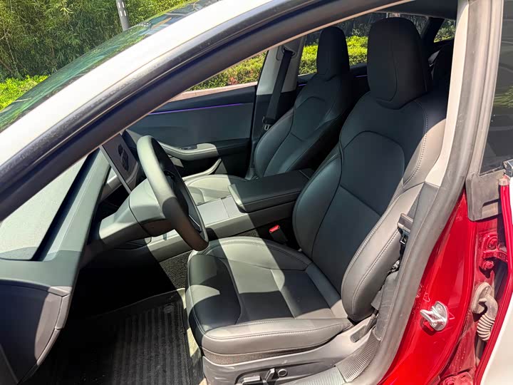 Tesla Model 3 2025 2025款 后轮驱动版