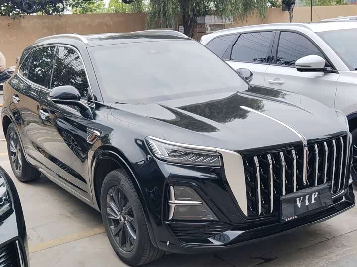 Фото 3 - Hongqi HS5
