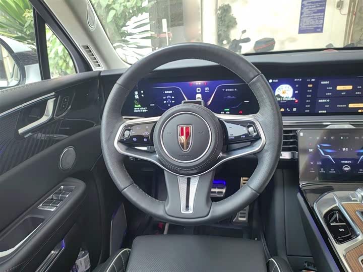 Hongqi E-HS9 2022 2022款 660km 旗领版 四座