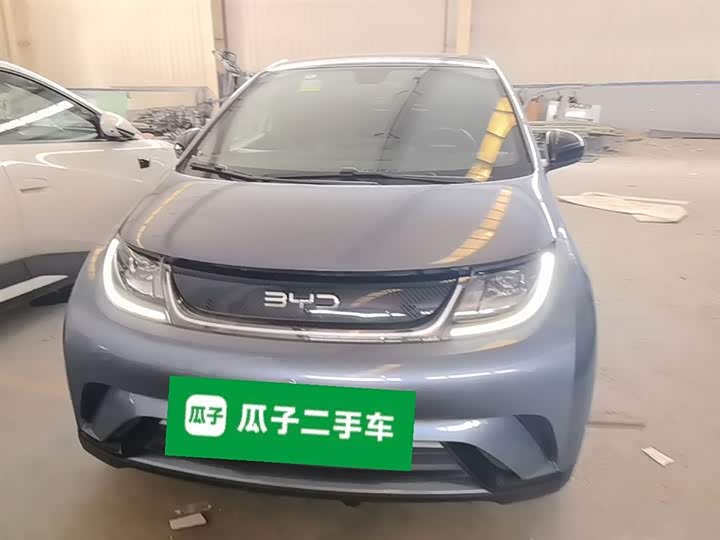 Фото 3 - BYD Dolphin