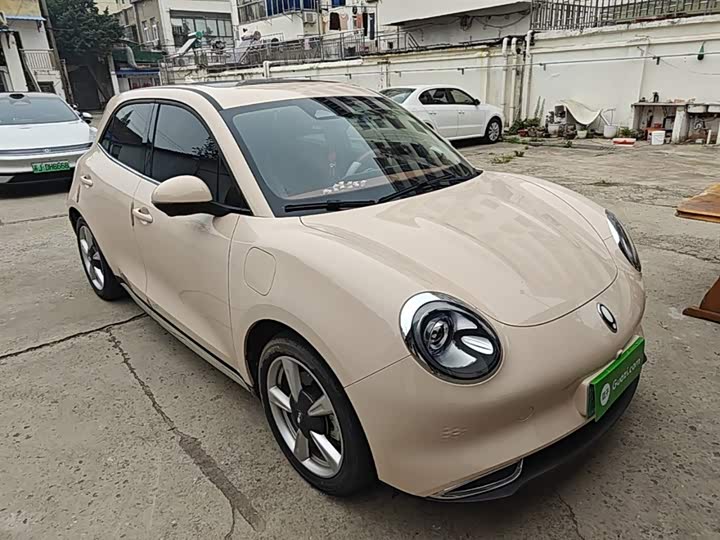 Ora Good Cat (03) 2023 2023款 401km标准续航 尊贵型 磷酸铁锂