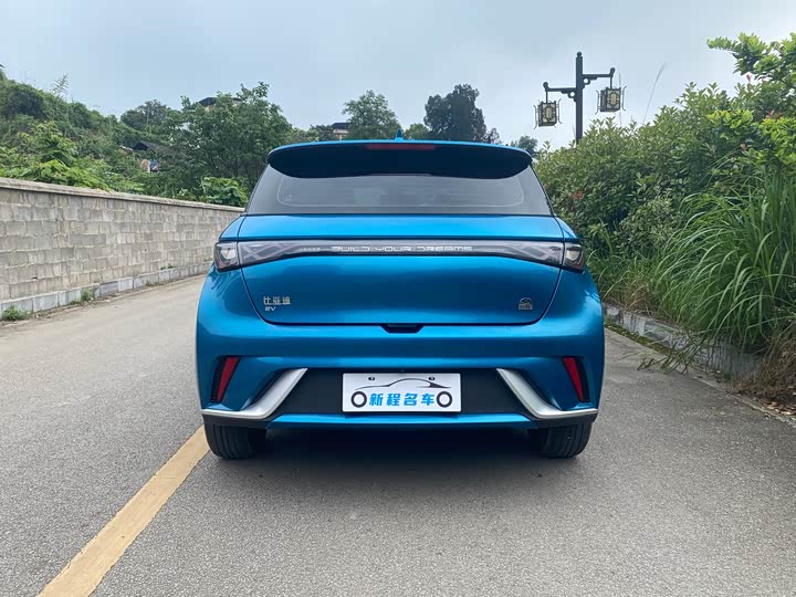 Фото 5 - BYD Dolphin