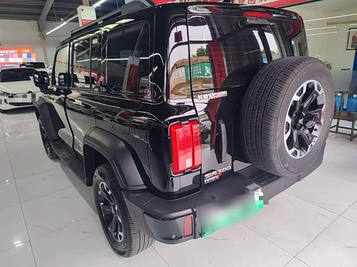 Tank 300 Hybrid 2025 2025款 Hi4-T 37.1kWh