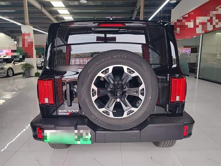 Tank 300 Hybrid 2025 2025款 Hi4-T 37.1kWh