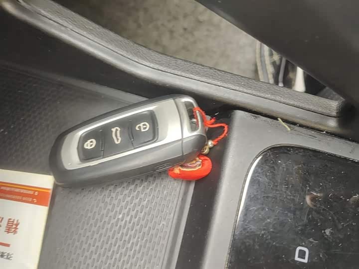 Geely Geometry EX3 2021 2021款 坚强牛牛