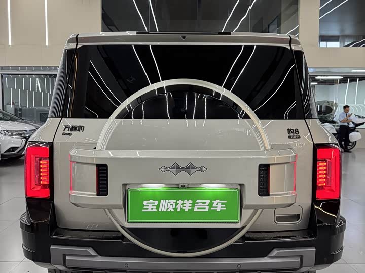 Фото 8 - BYD FangChengBao Leopard 8