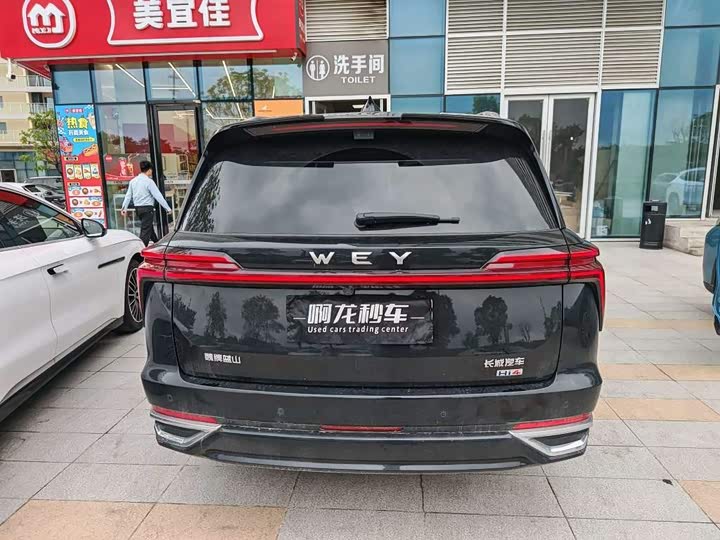 Wey Lanshan 2025 2025款 四驱 Max