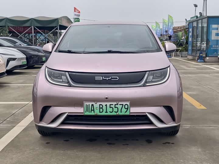 Фото 2 - BYD Dolphin