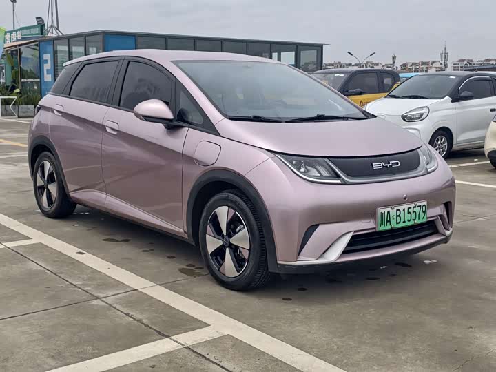 Фото 3 - BYD Dolphin