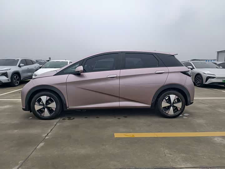Фото 4 - BYD Dolphin