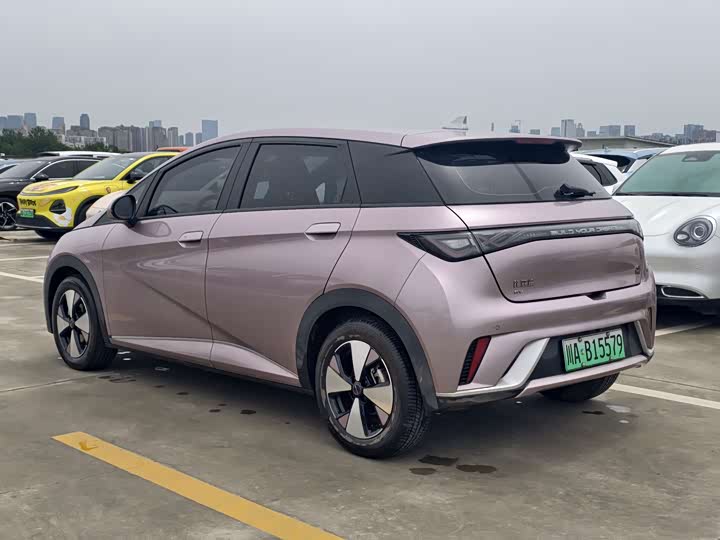 Фото 5 - BYD Dolphin
