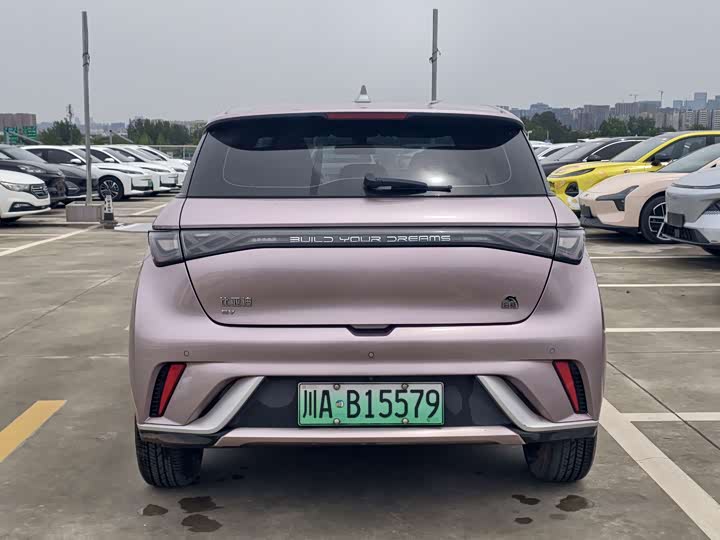 Фото 6 - BYD Dolphin
