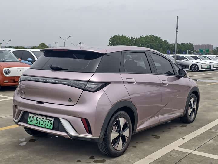 Фото 7 - BYD Dolphin