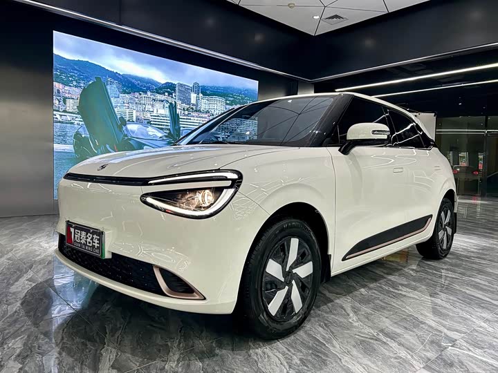 Dongfeng Yipai Nano 01 2026 2026款 初心款 430Air