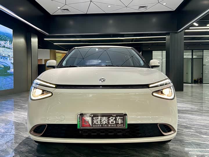 Dongfeng Yipai Nano 01 2026 2026款 初心款 430Air