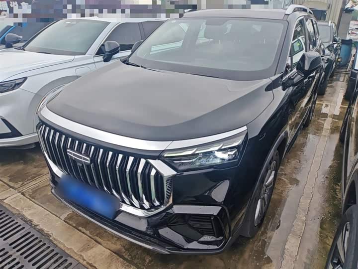 Geely Okavango L 2024 2024款 2.0T DCT尊贵型