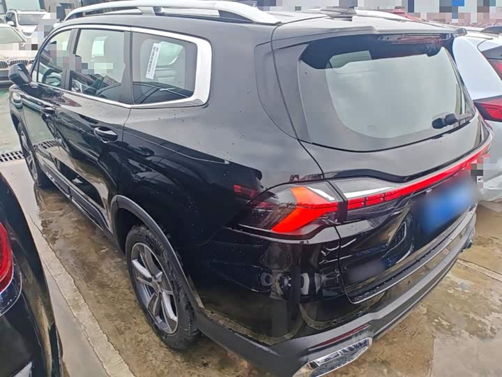 Geely Okavango L 2024 2024款 2.0T DCT尊贵型